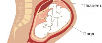 What is a low placenta?