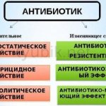 Действие антибиотиков на микробную клетку