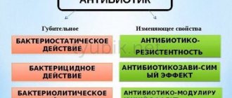 Действие антибиотиков на микробную клетку