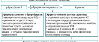 Action of meldonium