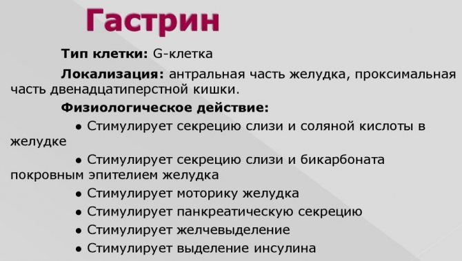 Гастрин 17 понижен. Гастрин. Гастрин стимулирует. Секрецию гастрина стимулирует:. Эффекты гастрина.