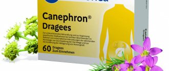 Canephron is a herbal antimicrobial agent