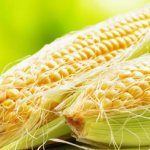 Кукурузные рыльца – 7 лучших рецептов применения