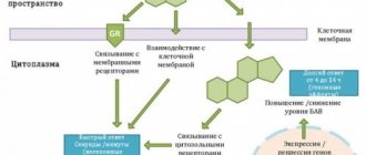 Mechanism of action of glucocorticosteroids