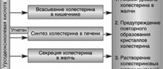 Mechanism of action of the drug