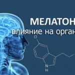 Мелатонин – влияние на организм