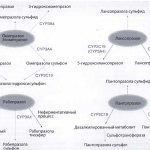 Метаболизм пяти ингибиторов протонного насоса (Marelli S., Pace F.)