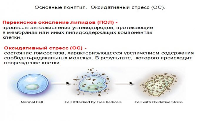 Окислительный стресс картинки