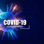 Первый опыт использования препарата Ангиовит в комплексном лечении острой стадии инфекции COVID-19