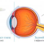 Препараты для укрепления и профилактики болезней сетчатки глаза