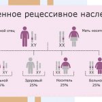 Scheme of X-linked recessive inheritance of diseases