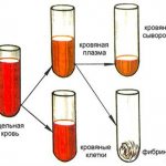 Blood composition