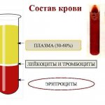 blood composition