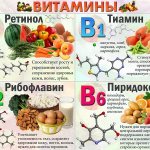 Свойства и характер влияния витамина B5 на организм человека