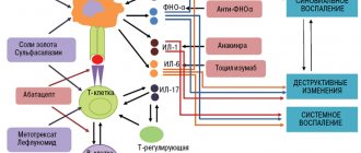 &quot;Victims&quot; of monoclonal antibodies